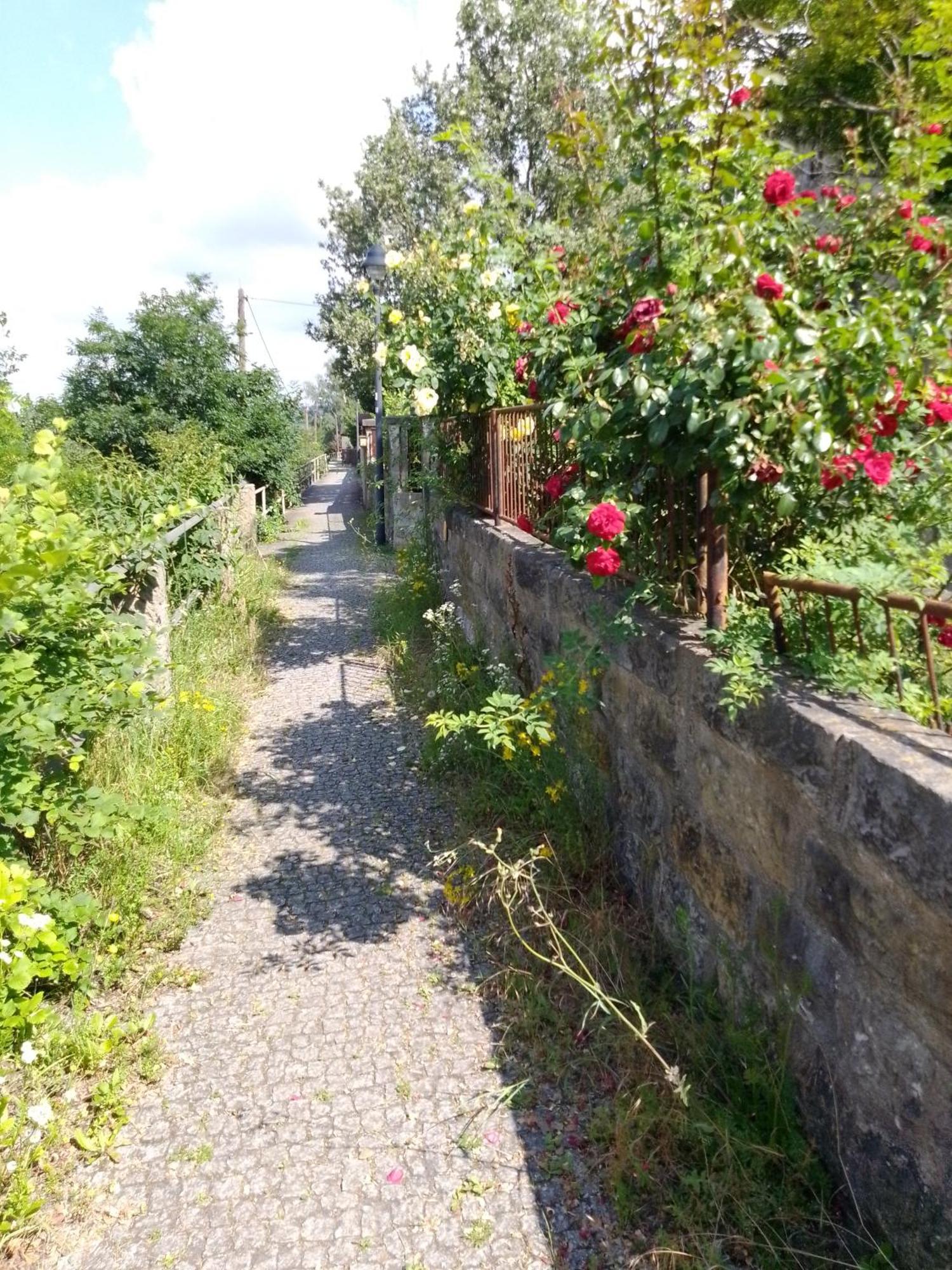 Dresden-Entspannung-Natur-Trifft-2-Staedte-Am-Fluss Esterno foto