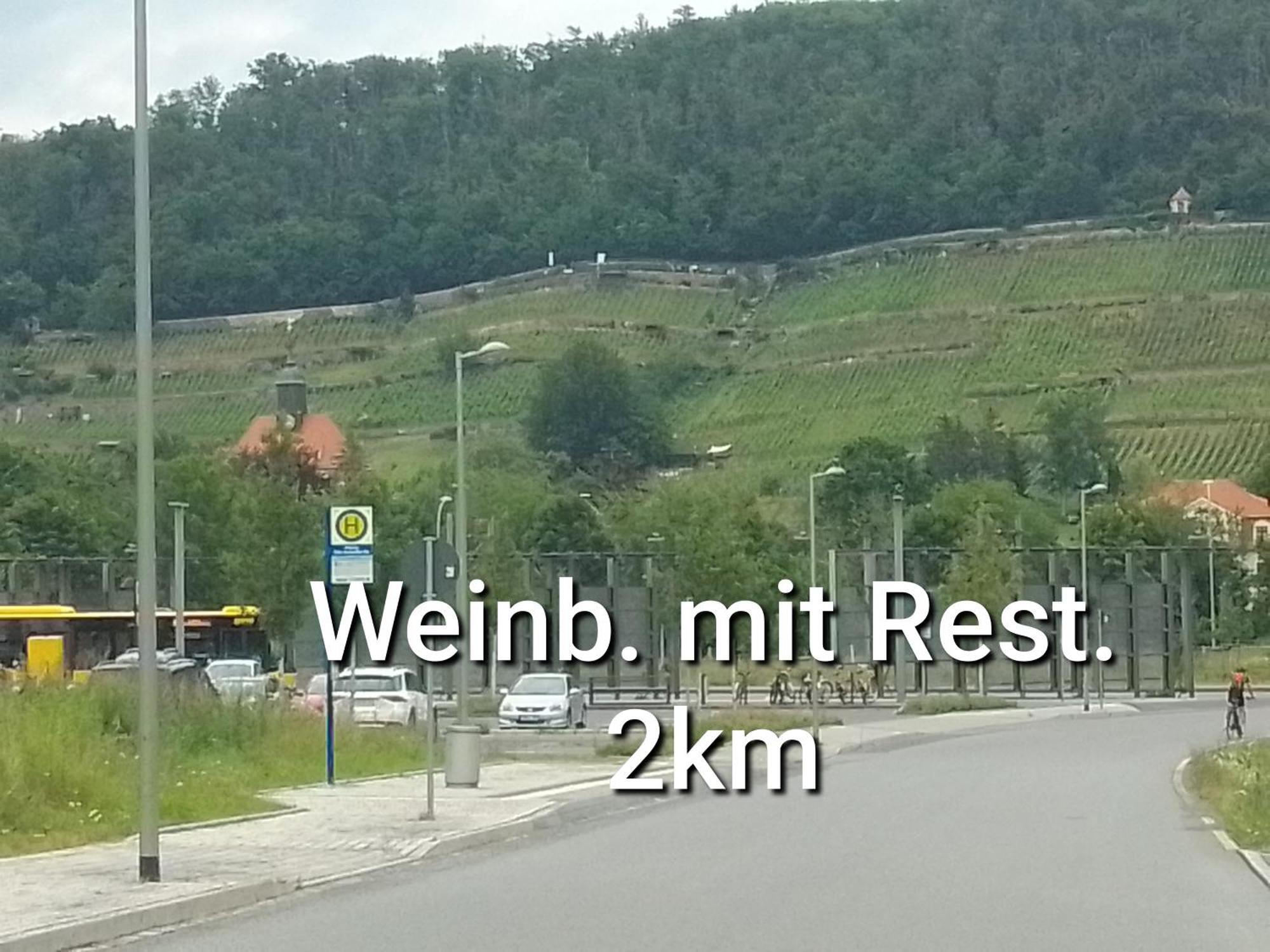 Dresden-Entspannung-Natur-Trifft-2-Staedte-Am-Fluss Esterno foto