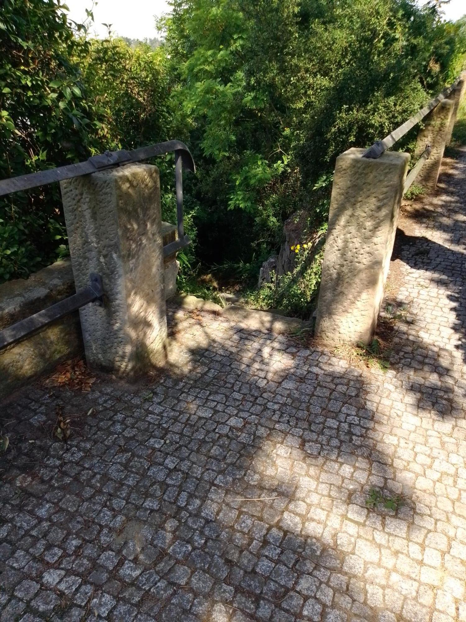 Dresden-Entspannung-Natur-Trifft-2-Staedte-Am-Fluss Esterno foto
